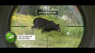 40 Canadian Hunts in 13 Minutes! (BEST OF HUNTING Compilation) #gaming #viral