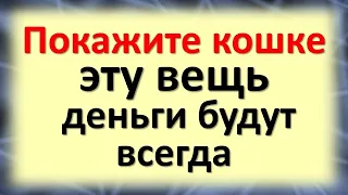 Покажите кошке эту вещь, деньги будут всегда. Как животное может привлечь достаток и отвести беду