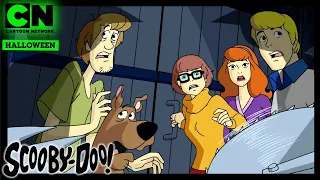 CN Classics | Scooby-Doos Halloween | 🇸🇪 Svenska Cartoon Network