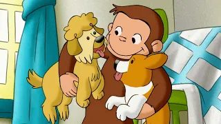 Coco der Hundesitter | Coco der Neugierige Affe | Cartoons für Kinder