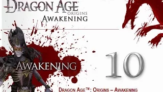 Прохождение Dragon Age: Origins - Awakening. Часть 10. Два лагеря.