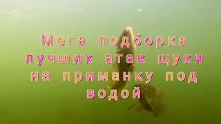 Мега подборка лучших атак щуки на приманку под водой.Mega compilation of the best pike attacks