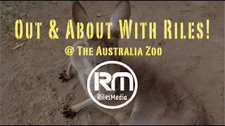 Crocodile show & other things @ Australia Zoo 2017