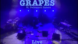 GRAPES - Sound Of Chaos