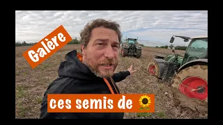 Galère les semis de tournesols 🌻 ! mais on a réussi 😅