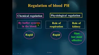 Acid base balance and respiratory disorders - Dr/Mohammad Ashraf