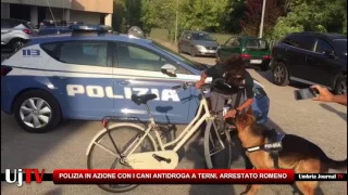 Arrestato un romeno a Terni, aveva oltre 60 dosi di droga  I cani hanno aiutato la Polizia
