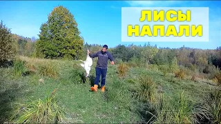 ПОТЕРИ НА ХУТОРЕ