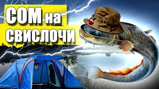 СОМ на реке Свислочь | Ловля СОМА на ВЫПОЛЗКА