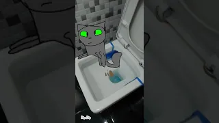 cat pooping on toilet!