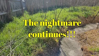 The most OVERGROWN lawn I have EVER done | part 6 - path reveal and slashing grass!