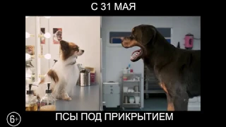 Псы под прикрытием, 6+