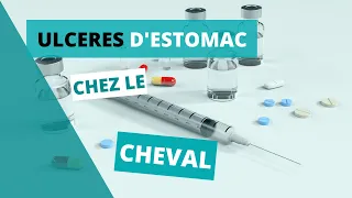 Causes, symptômes et traitement des uclères d'estomac chez le cheval