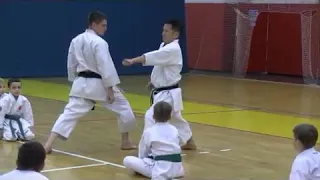 Best karateTechniques Sensei  Hasegawa