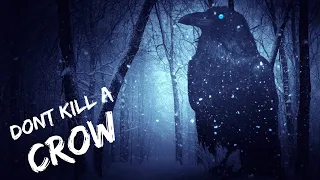 SPIRITUAL MEANING OF CROWS [MUST WATCH]