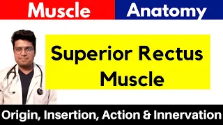 Superior Rectus Muscle | Origin, Insertion, Action & Innervation | Superior Rectus in Hindi