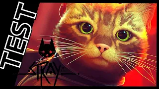 TEST PS5 - STRAY - C'EST AUSSI ÇA LE JEU VIDEO !