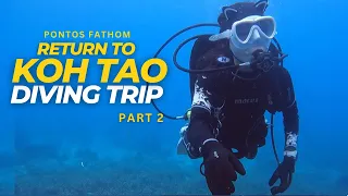 Koh Tao Scuba Diving Trip - South West Pinnacle - 2022 August - Part 2