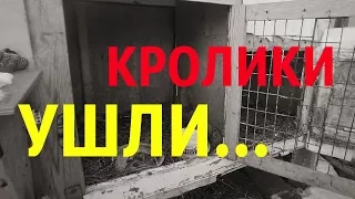 Сокращение поголовья кроликов//Кролиководство с нуля//Хата С Краю//Жизнь в Деревне  #XATASKRAU