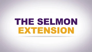 Selmon Animation