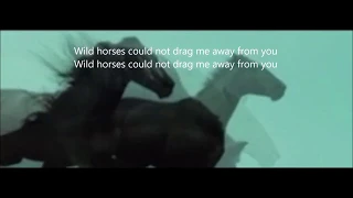 Gino Vannelli   - Wild Horses
