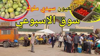جولة في سوق الاسبوعي العيون الشرقية سيدي ملوك خير مجود Visite d'El Aioun Sidi Mellouk  aujourd'hui
