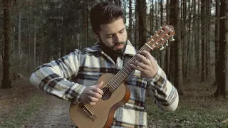 Scar Tissue (Red Hot Chili Peppers) on Guitarlele - Luca Stricagnoli