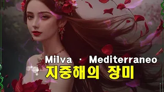 Milva · Mediterraneo(지중해의 장미)(lyrics, 번역가사)