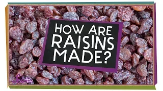 How Are Raisins Made?