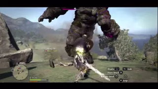 Dragon's Dogma Epic Golem Battle Fighter