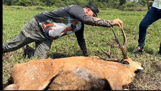 CHARLLES E TIRINGA SE EMOCIONAM E FAZEM APELO PARA QUE NÃO MATEM MAIS OS SERVOS DO PANTANAL 🥹