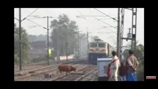 Live accident train hit cow 😱😱😱😱