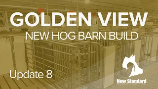 The Golden View Hog Barn - Showers & Office - Update 8