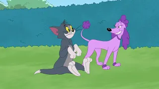 Шоу Тома и Джерри Новая подруга Тома  I The Tom and Jerry Show   Tom's New Girlfriend