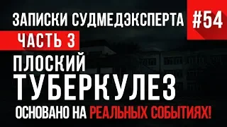 Записки Судмедэксперта #54 «Плоский Туберкулез» Часть 3 (САМАЯ МЕРЗКАЯ РАЗВЯЗКА)