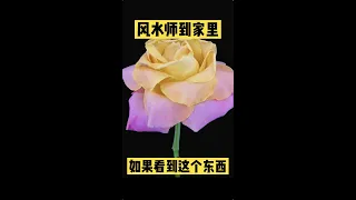 風水師到家裡，看到這個東西，基本斷定這家過得不好，你知道它是什麼嗎？