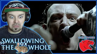 UNCOMFORTABLE BUT FRESH! Code Orange - Swallowing The Rabbit Whole REACTION