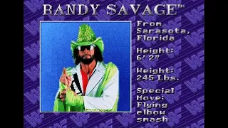 WWF Royal Rumble (SNES) Brawl - Randy Savage vs Crush