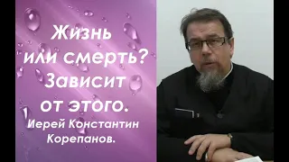 Чтобы скорби не были напрасны. Главный признак верного пути. Иерей Константин Корепанов.