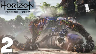 Horizon Forbidden West Запретный Запад PS5 4k 60fps. Прохождение. Часть 2 (Древние руины)