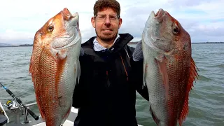 Westernport Snapper & Gummy Shark Fishing with FishingMad