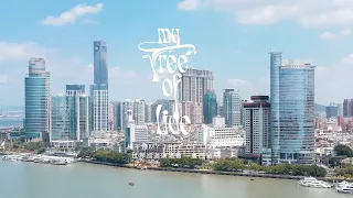 楊千嬅 MY TREE OF LIVE 世界巡迴演唱會 - 第二站廈門場回顧💜