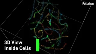 Now We Can See Inside Cells at a Nanoscale