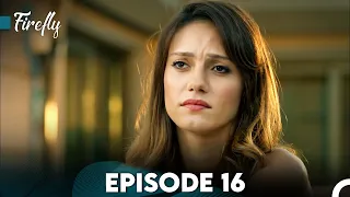 Firefly Episode 16 (FULL HD)