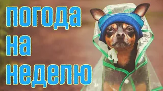 ПОГОДА НА ТИЖДЕНЬ 11 - 17 ЛИПНЯ 2022 : ☂️ ВІТРА З ГРОЗАМИ ⚡