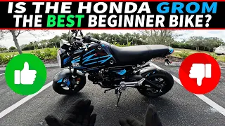 Is the Honda GROM a Good Starter Motorcycle in 2024? Here's EVERY reason why and why not...