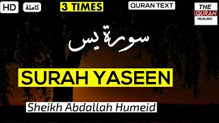 SURAH YASEEN 3 TIMES 😍 | Sheikh Abdallah Humeid (CALMING RECITATION) - 🖤 سورة يس كاملة