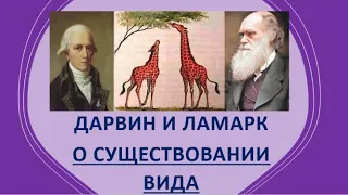 4. Дарвин и Ламарк о существовании вида