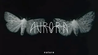 AURORA - In Boxes // Lyrics // Sub. Español.