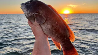 Fishing for Fall Tautog on the Chesapeake Bay